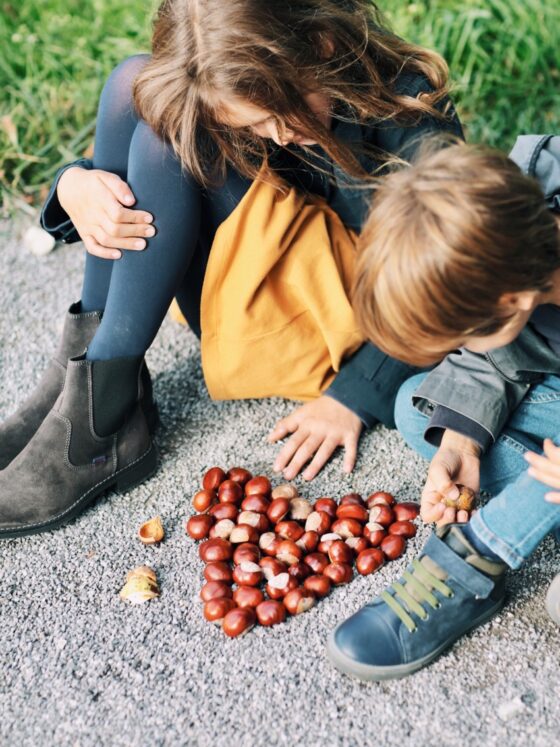 Unterwegs durch den Herbst: Suchen, Sammeln, Selbermachen