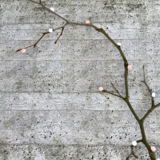 Fünf tolle Pipi-Kacka-Pups-Bücher