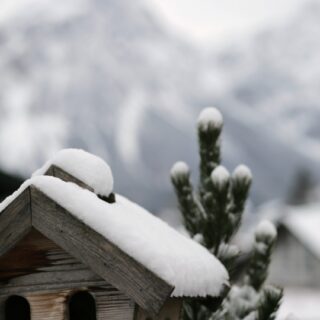 Mutti so yeah wird drei – was war das für ein irres Jahr!