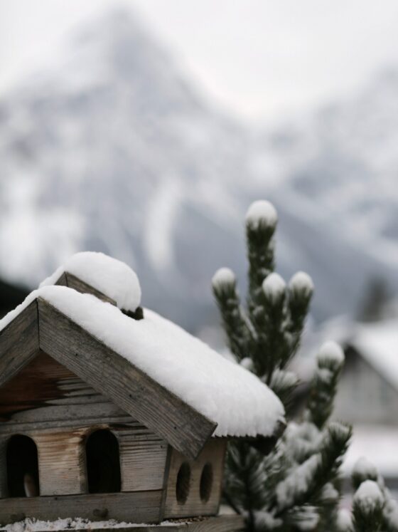 Mutti macht sich locker – Ideen für eine entspannte Adventszeit
