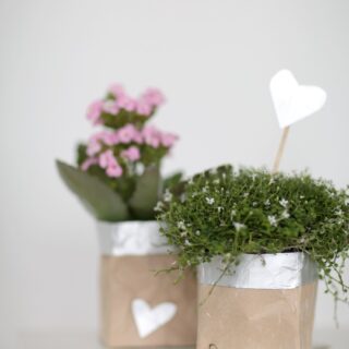 Nachhaltig einkaufen für Kinder: sieben Ideen und eine Verlosung