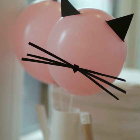 Catspiration: Ideen für die Katzenparty