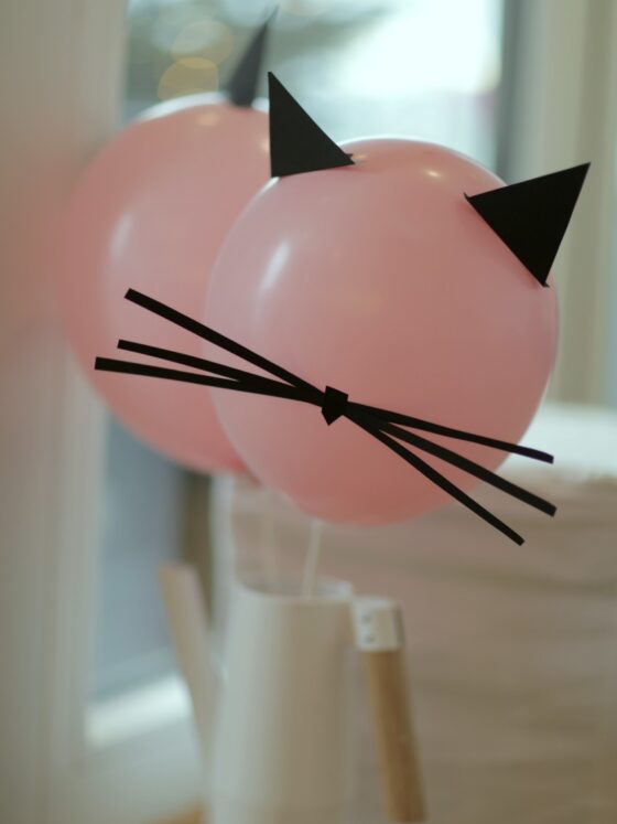 Catspiration: Ideen für die Katzenparty