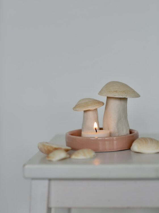 Strandgut: Wie aus Muscheln zackzack hübsche Pilze werden