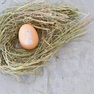 Osternest basteln – das supereasy Tüten-Huhn