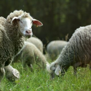 So klingt der Sommer: zwei Mal neue Lieblingsmusik (und beide zu gewinnen!)