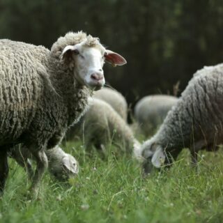 Mutti so yeah ist für den Isarnetz Blog-Award nominiert: So könnt Ihr für mich abstimmen