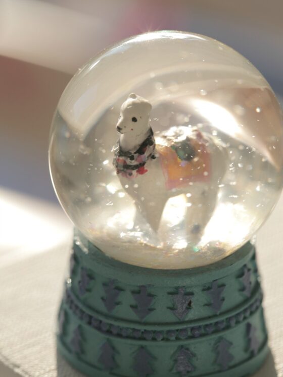 Ich habe Lama-Langeweile! Und erforscht, wie Trendtiere gemacht werden – sieben geheime Regeln